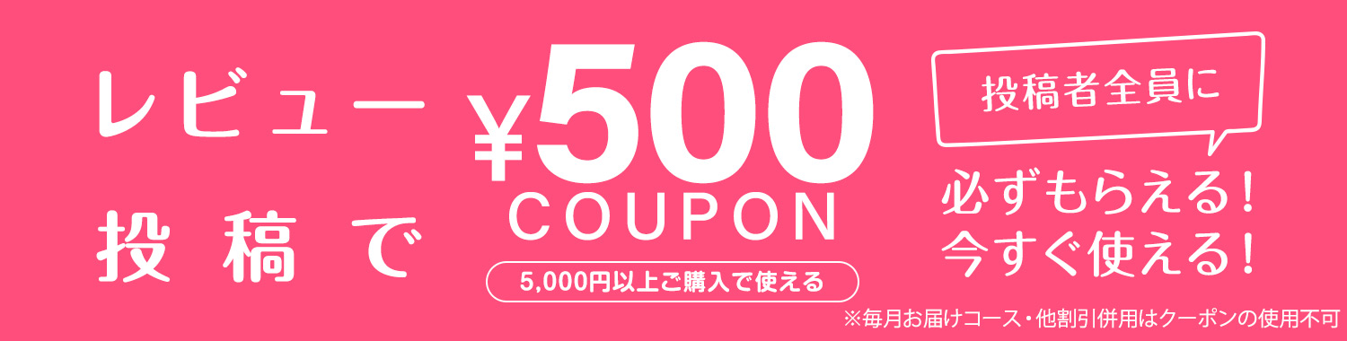 レビューを書くともらえる500円クーポン