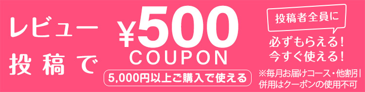 レビューを書くともらえる500円クーポン